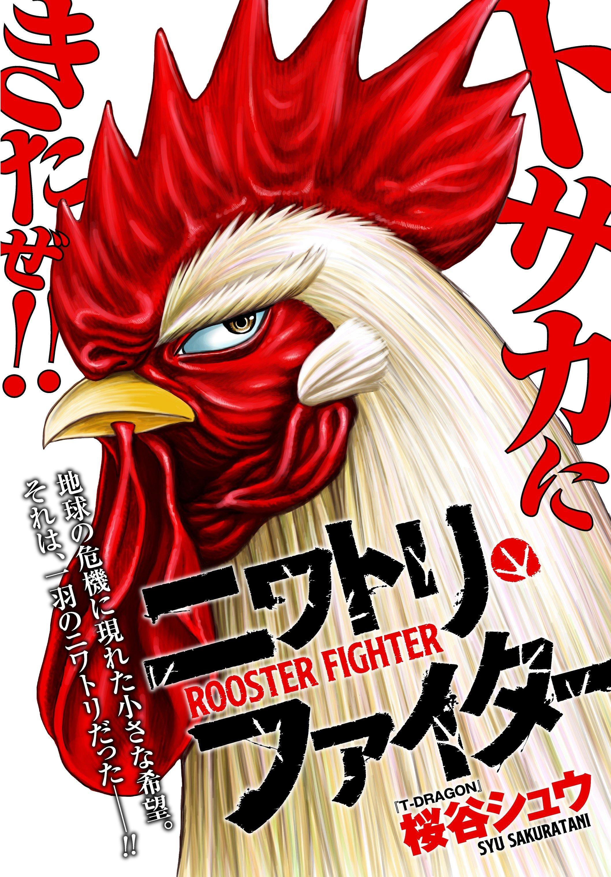 ROOSTER FIGHTER – Niwatori FIGHTER – ป๋าโต้งชนยับ